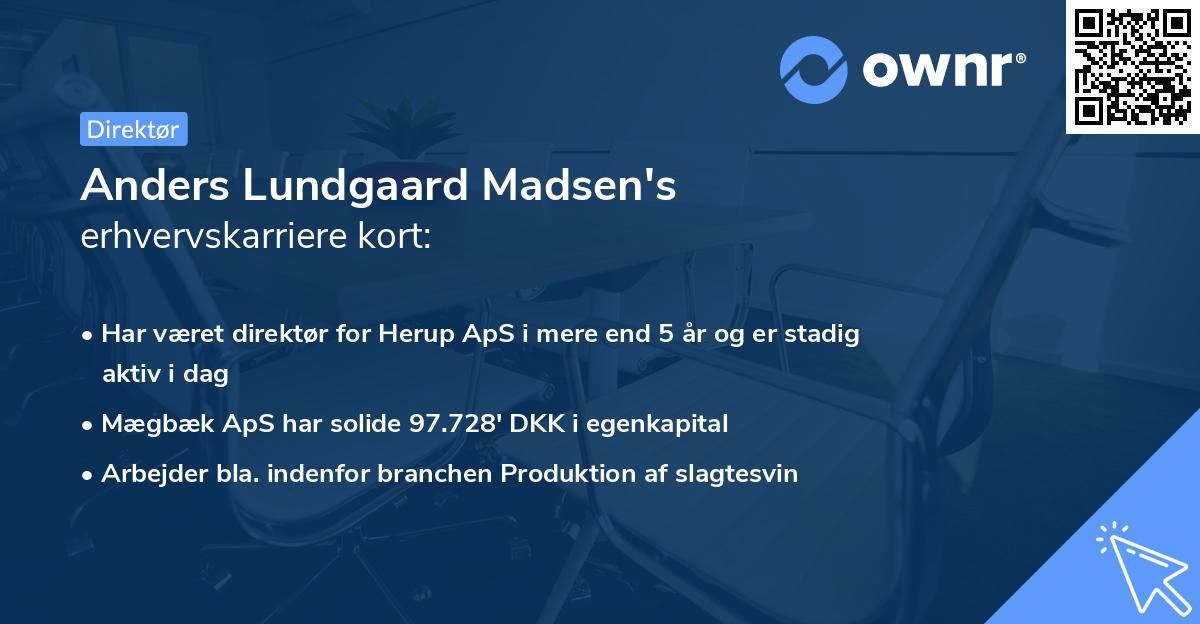 Anders Lundgaard Madsen's erhvervskarriere kort