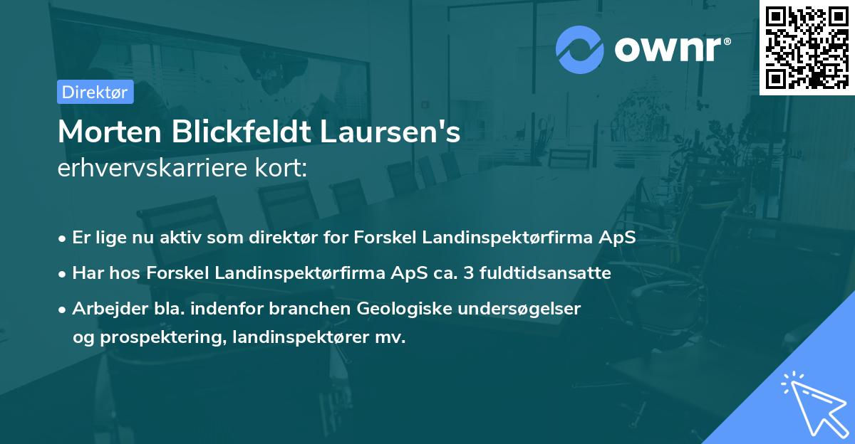 Morten Blickfeldt Laursen's erhvervskarriere kort