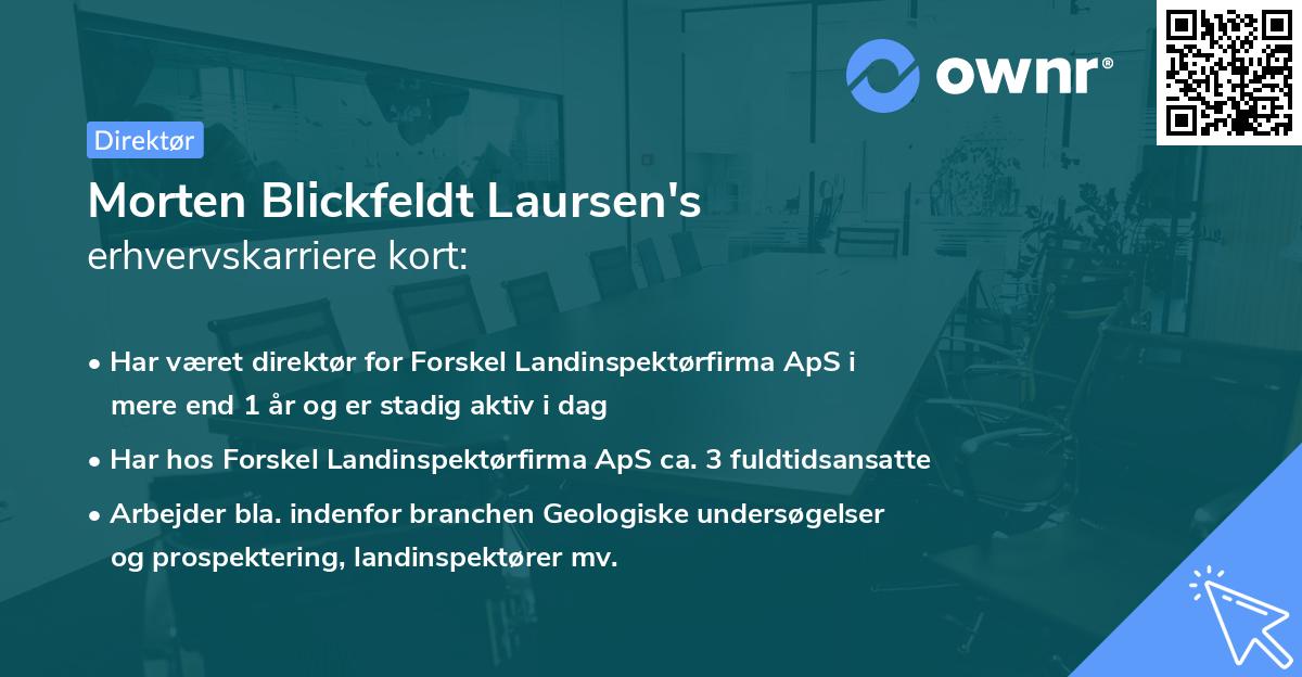 Morten Blickfeldt Laursen's erhvervskarriere kort
