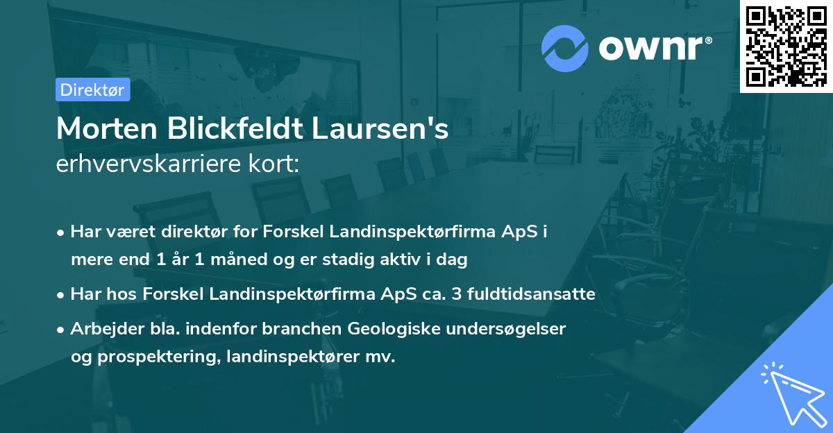 Morten Blickfeldt Laursen's erhvervskarriere kort