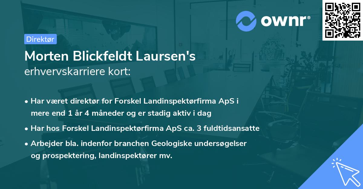 Morten Blickfeldt Laursen's erhvervskarriere kort