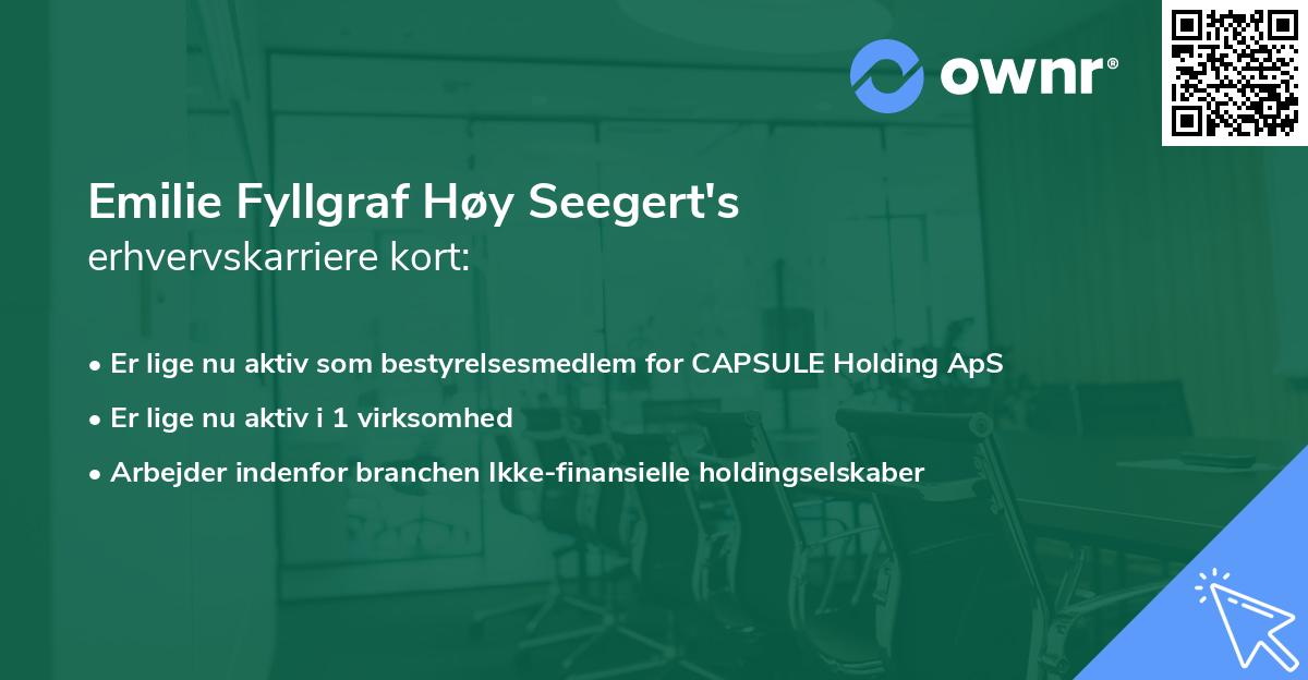 Emilie Fyllgraf Høy Seegert's erhvervskarriere kort