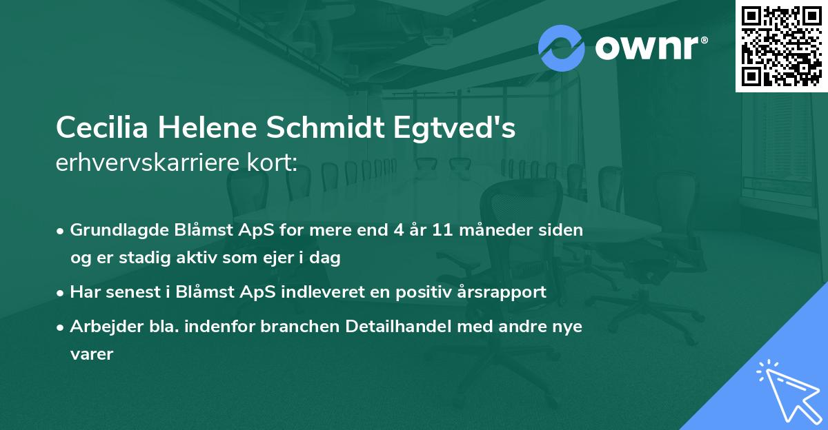 Cecilia Helene Schmidt Egtved's erhvervskarriere kort