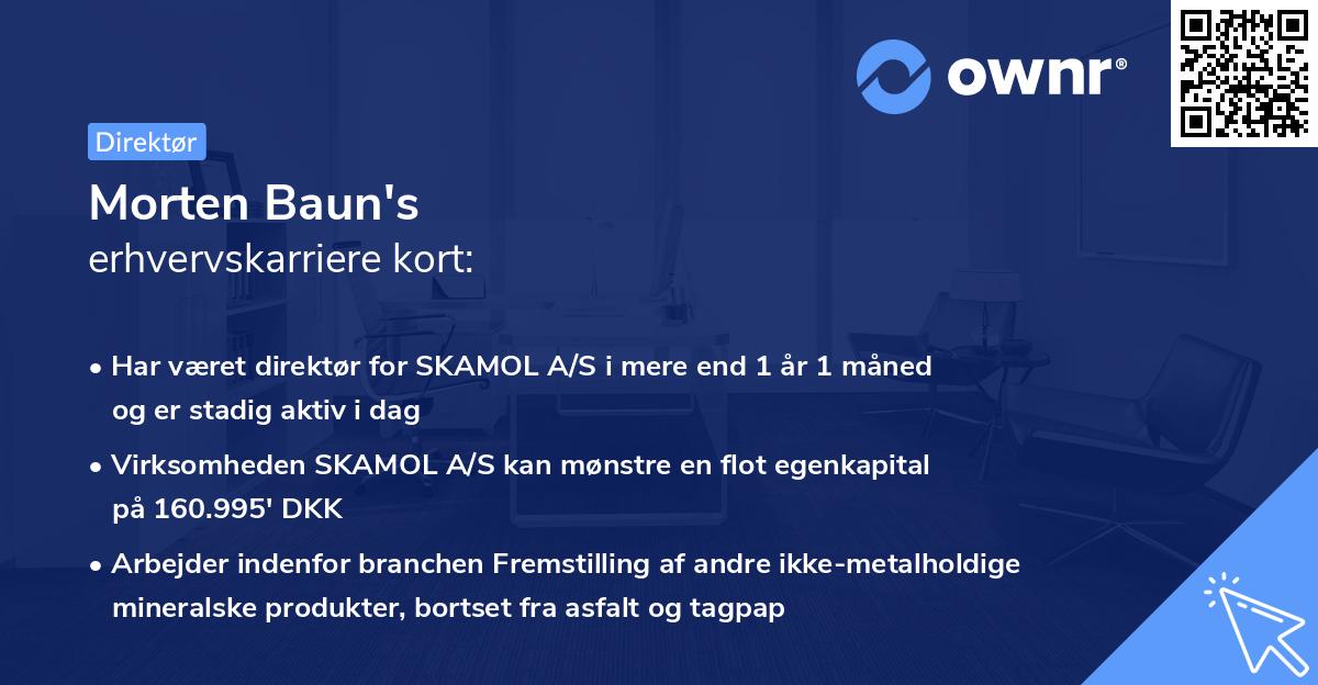 Morten Baun's erhvervskarriere kort