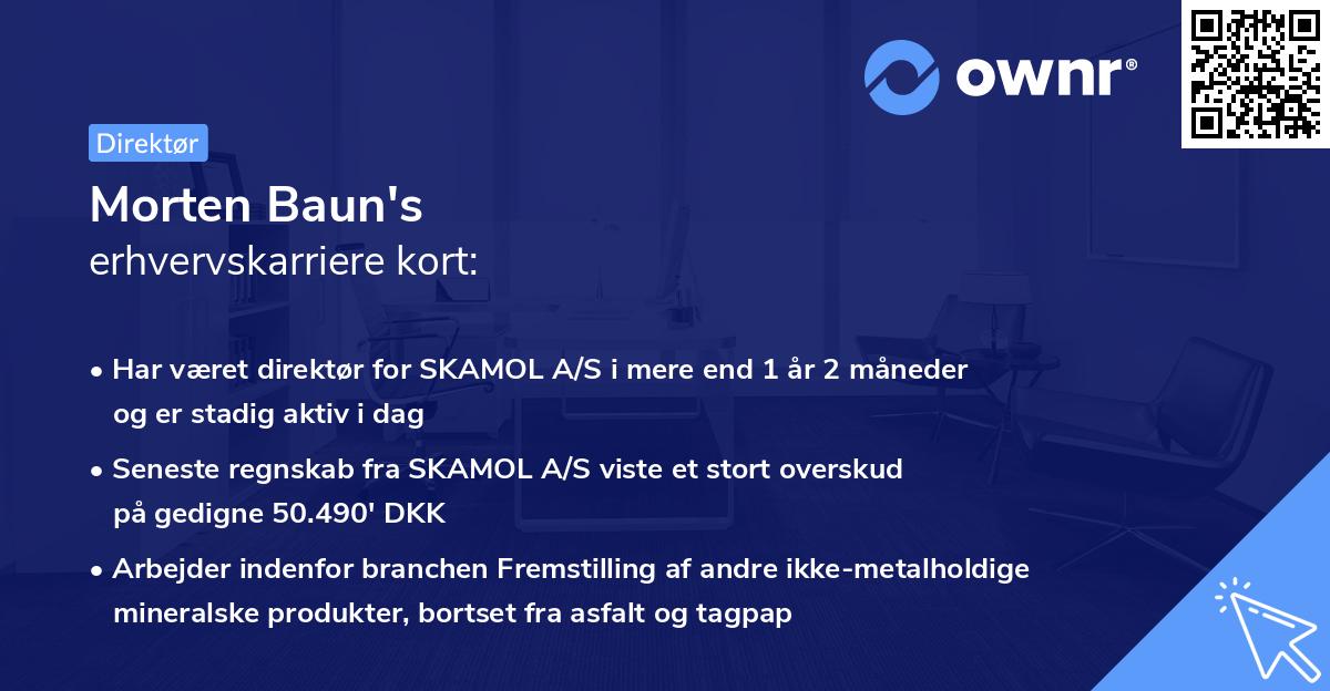 Morten Baun's erhvervskarriere kort