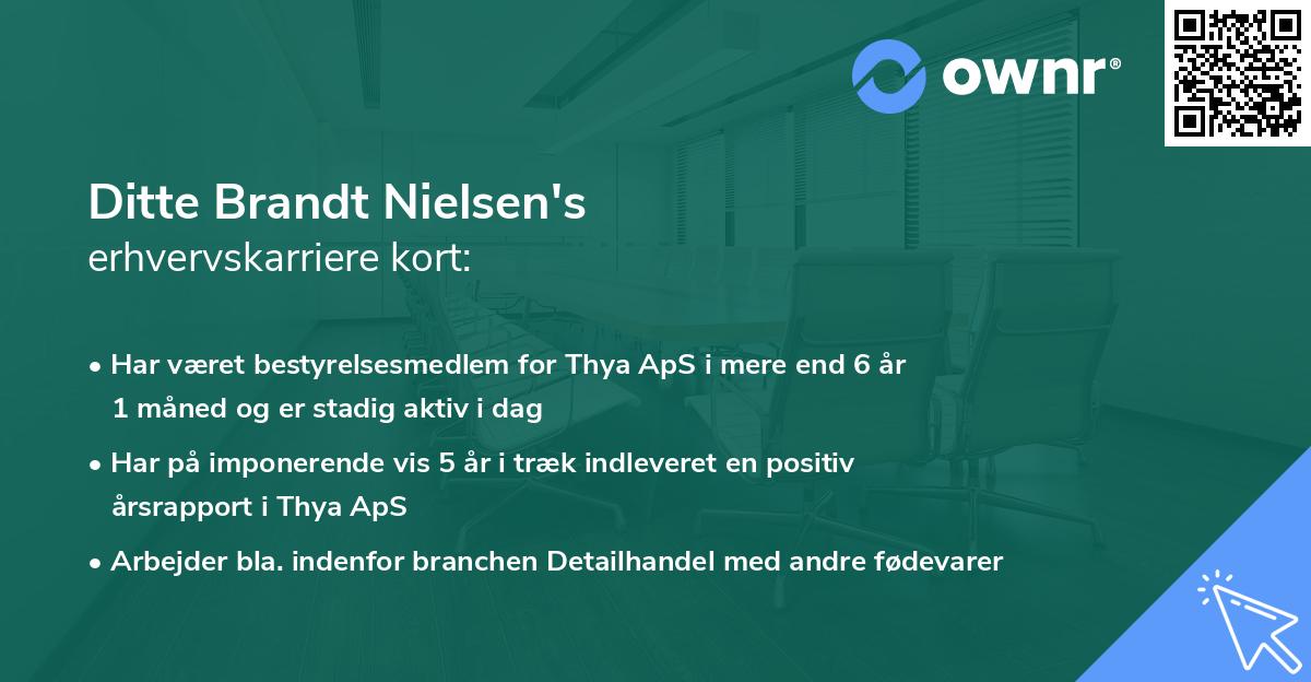 Ditte Brandt Nielsen's erhvervskarriere kort