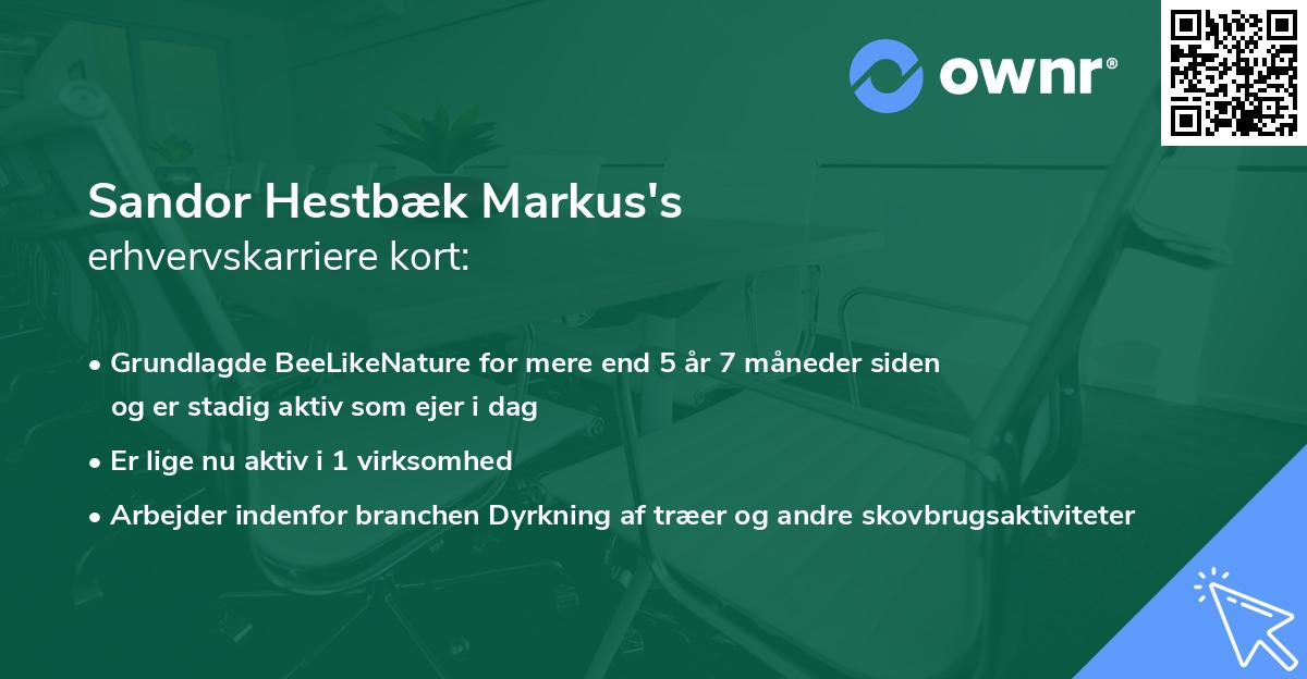 Sandor Hestbæk Markus's erhvervskarriere kort