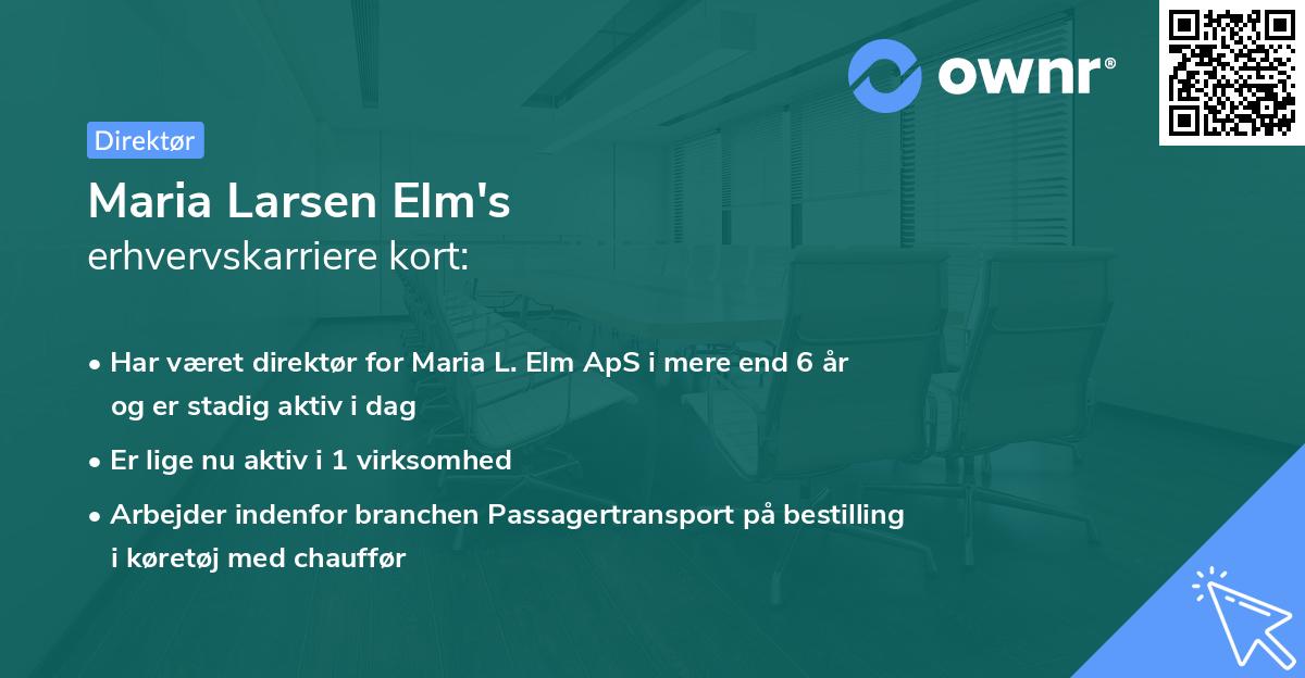 Maria Larsen Elm's erhvervskarriere kort