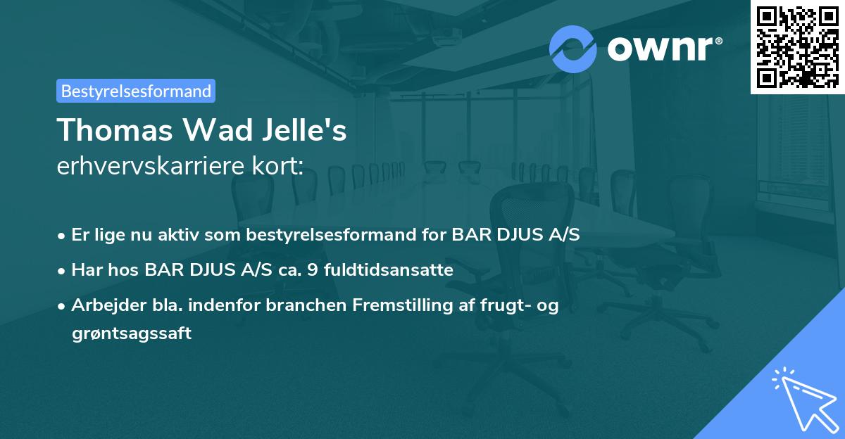 Thomas Wad Jelle's erhvervskarriere kort