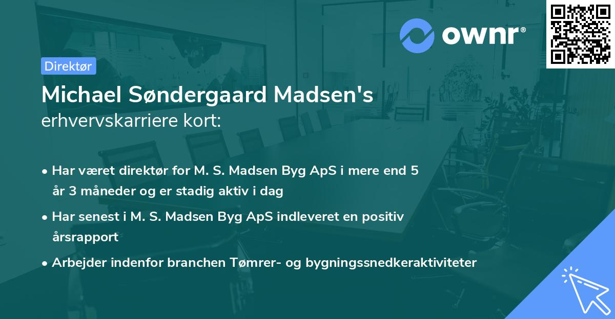 Michael Søndergaard Madsen's erhvervskarriere kort