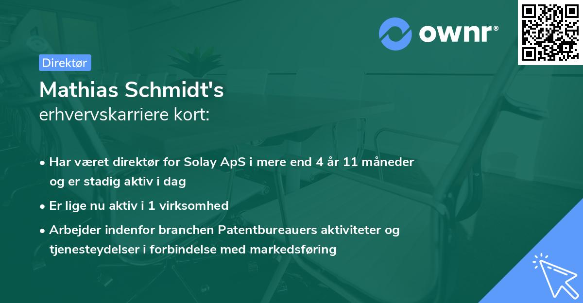 Mathias Schmidt's erhvervskarriere kort