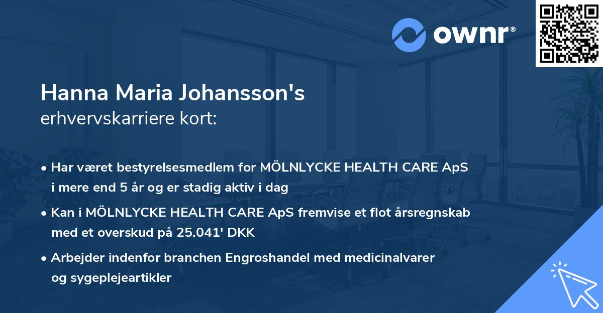 Hanna Maria Johansson's erhvervskarriere kort