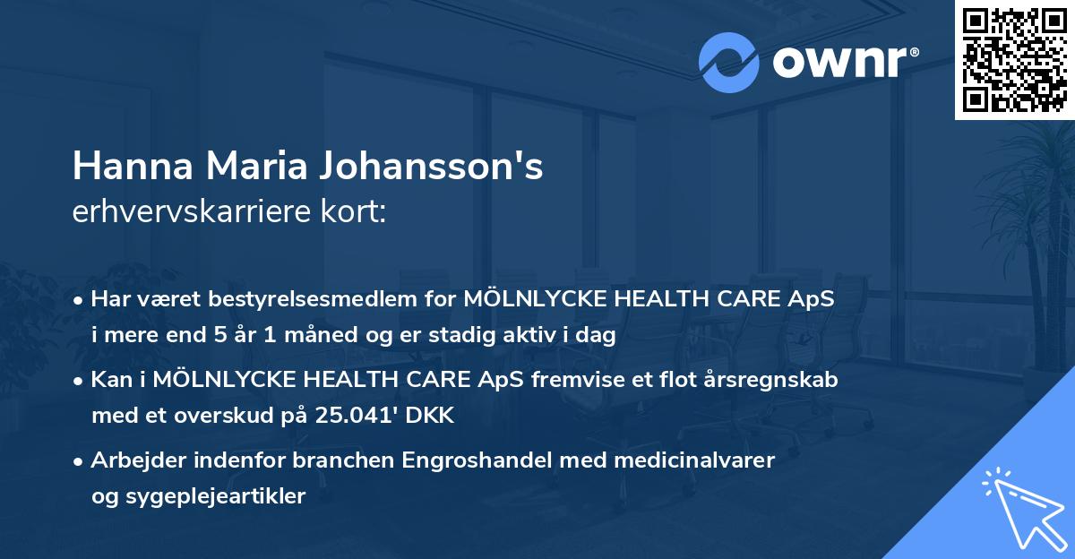 Hanna Maria Johansson's erhvervskarriere kort