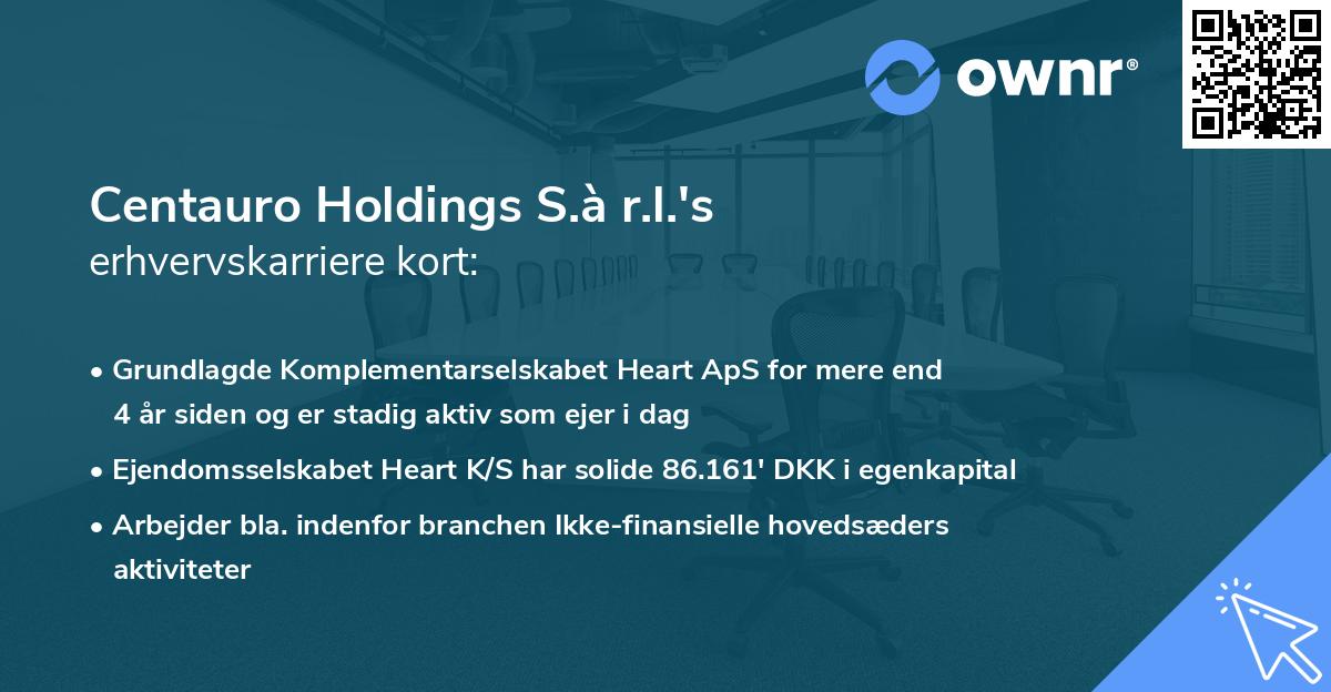 Centauro Holdings S.à r.l.'s erhvervskarriere kort