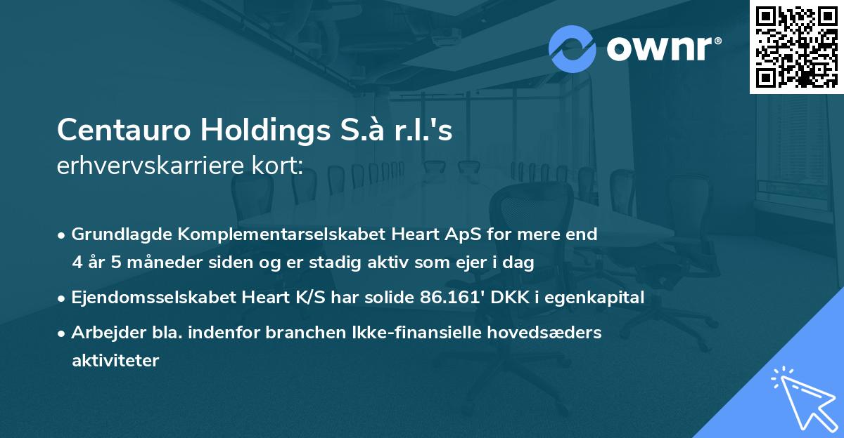 Centauro Holdings S.à r.l.'s erhvervskarriere kort