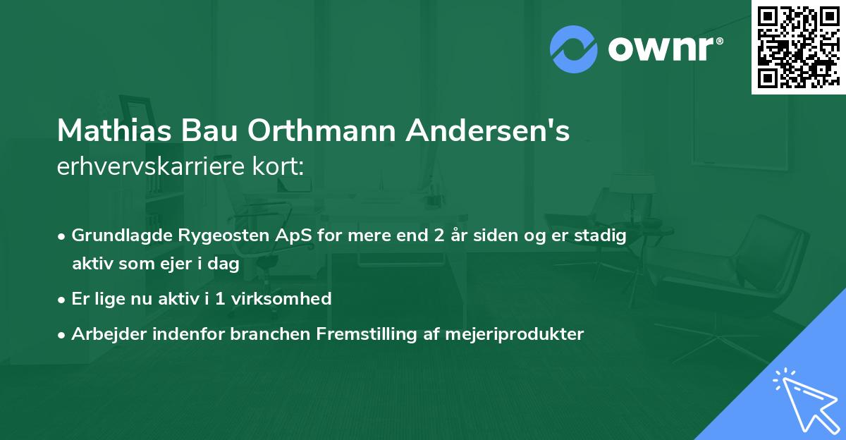 Mathias Bau Orthmann Andersen's erhvervskarriere kort