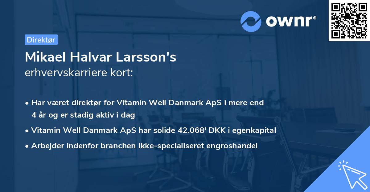 Mikael Halvar Larsson's erhvervskarriere kort
