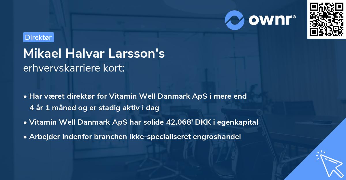 Mikael Halvar Larsson's erhvervskarriere kort
