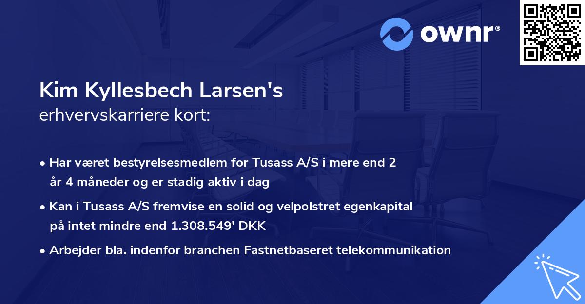 Kim Kyllesbech Larsen's erhvervskarriere kort