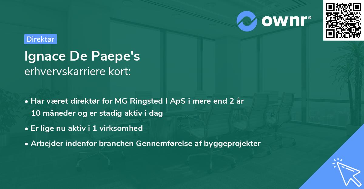 Ignace De Paepe's erhvervskarriere kort