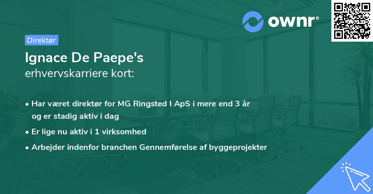 Ignace De Paepe's erhvervskarriere kort
