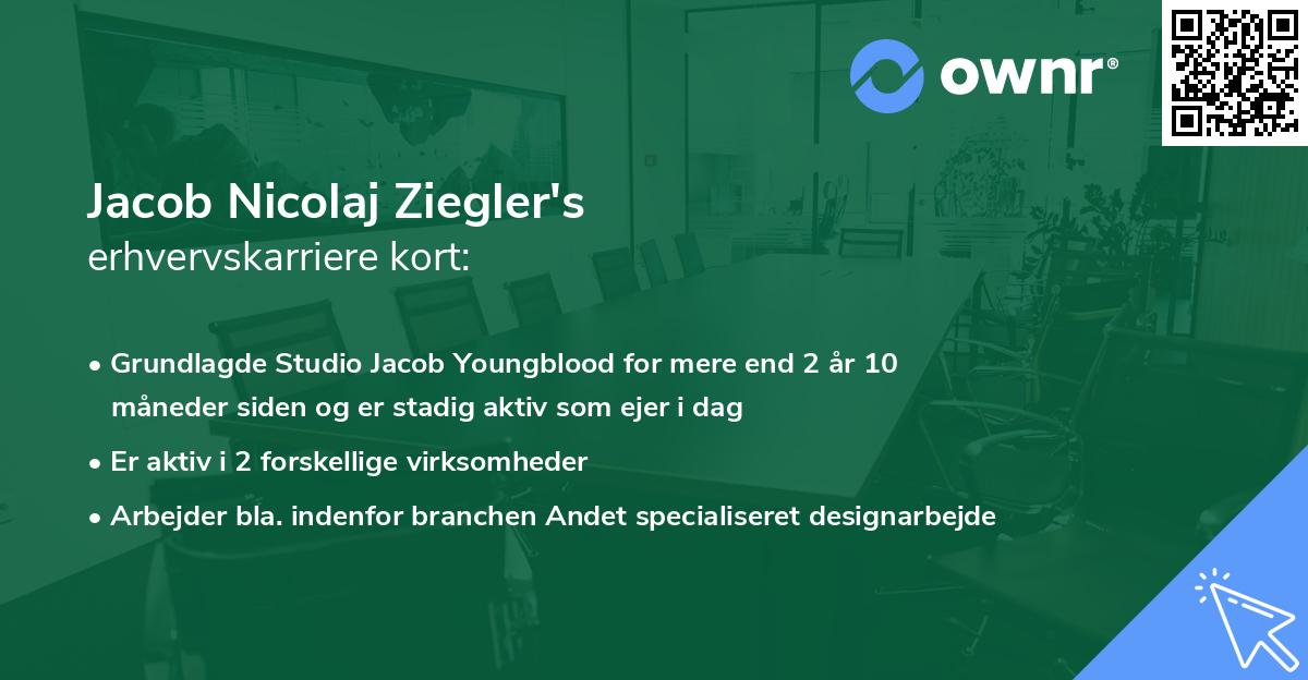 Jacob Nicolaj Ziegler's erhvervskarriere kort