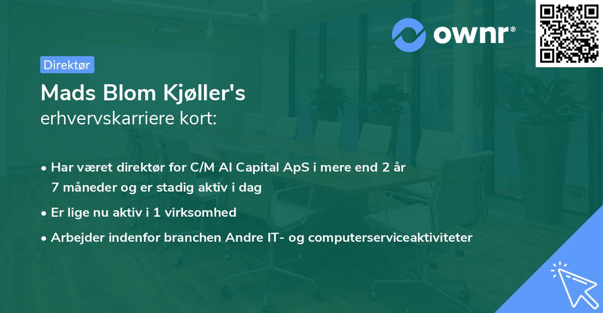 Mads Blom Kjøller's erhvervskarriere kort