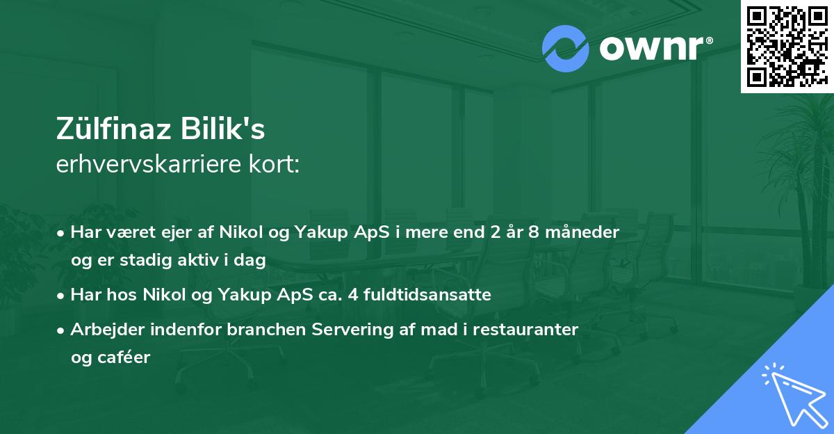 Zülfinaz Bilik's erhvervskarriere kort