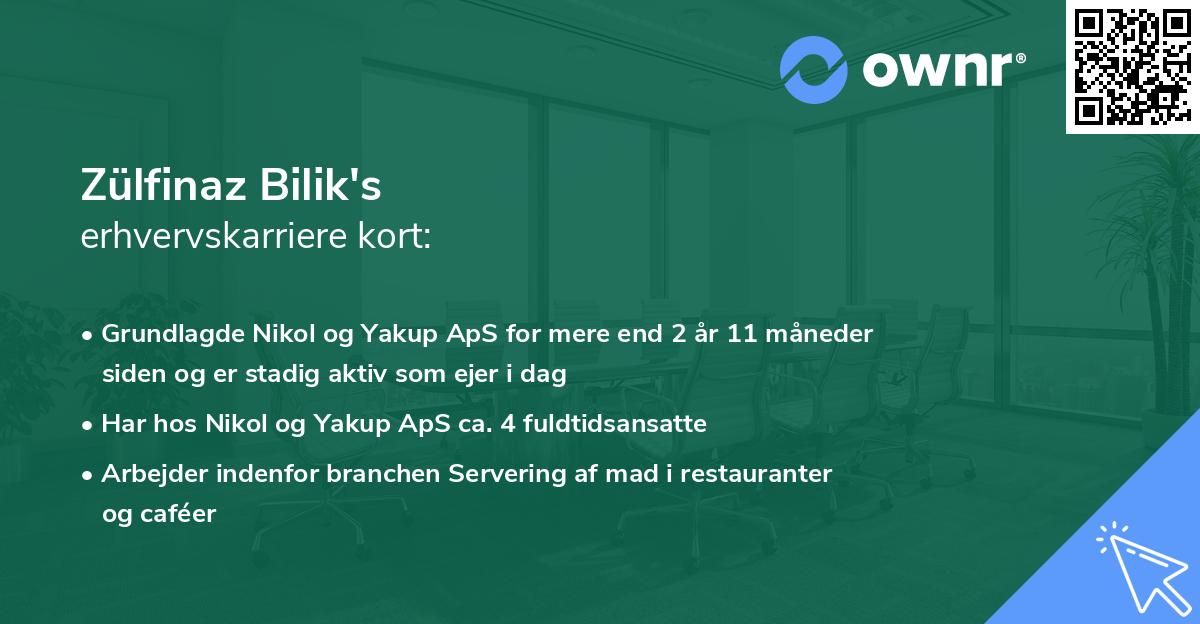 Zülfinaz Bilik's erhvervskarriere kort
