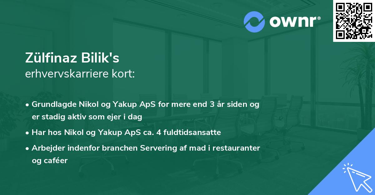 Zülfinaz Bilik's erhvervskarriere kort
