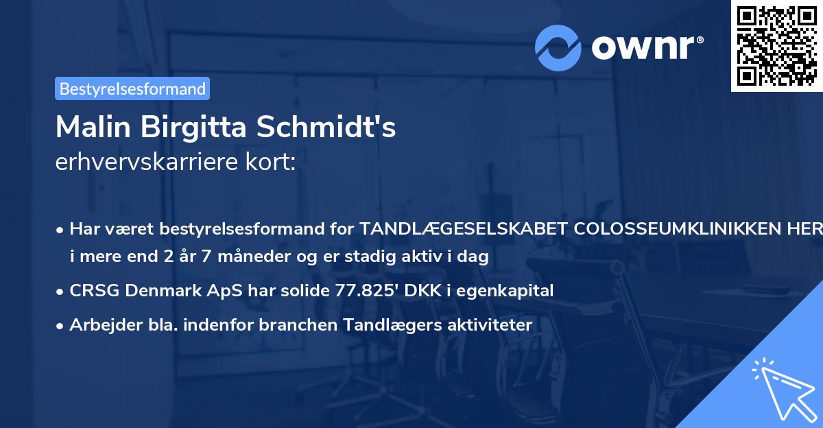 Malin Birgitta Schmidt's erhvervskarriere kort