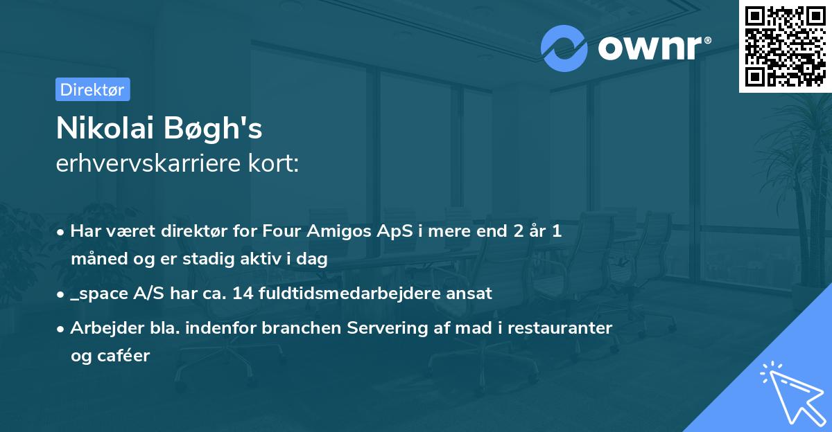 Nikolai Bøgh's erhvervskarriere kort