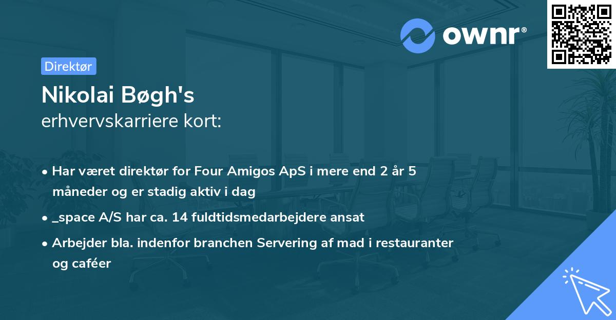 Nikolai Bøgh's erhvervskarriere kort