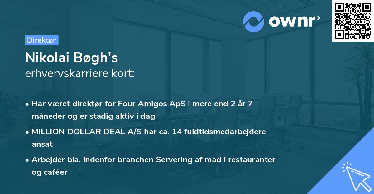 Nikolai Bøgh's erhvervskarriere kort