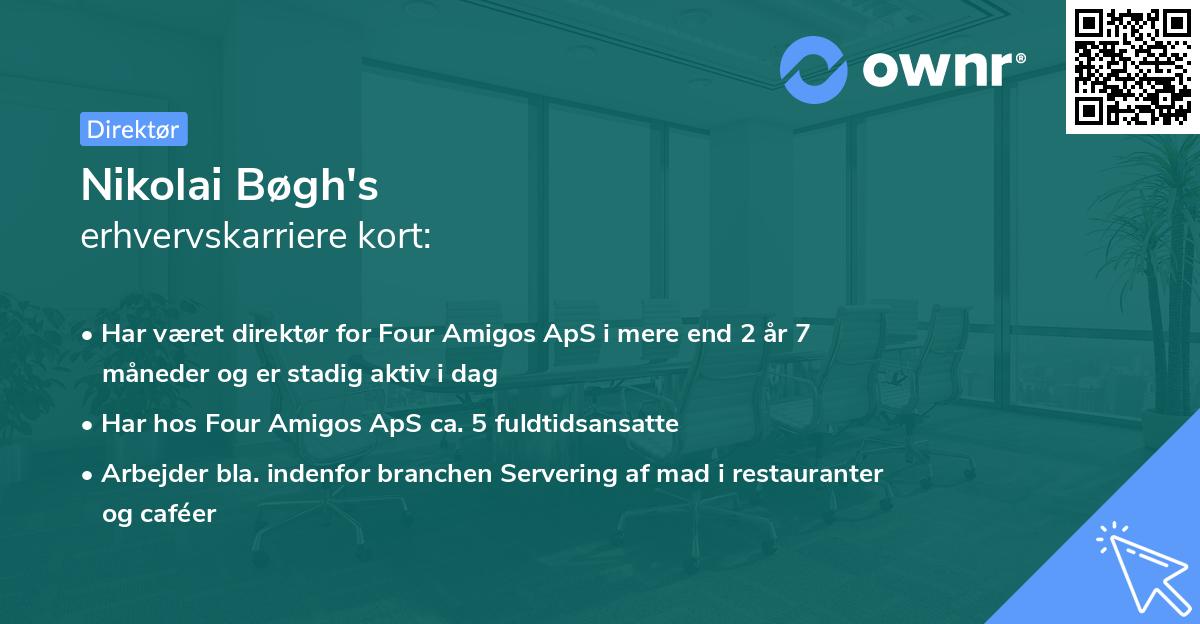 Nikolai Bøgh's erhvervskarriere kort