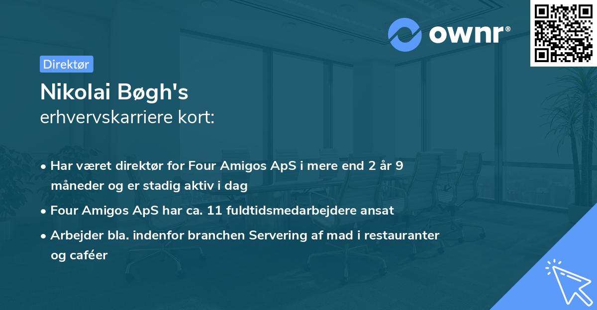 Nikolai Bøgh's erhvervskarriere kort