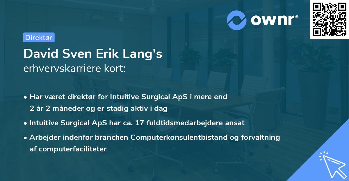 David Sven Erik Lang's erhvervskarriere kort