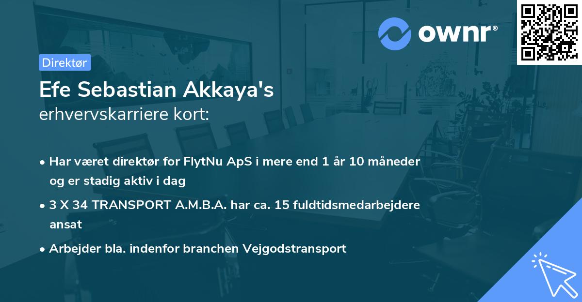 Efe Sebastian Akkaya's erhvervskarriere kort