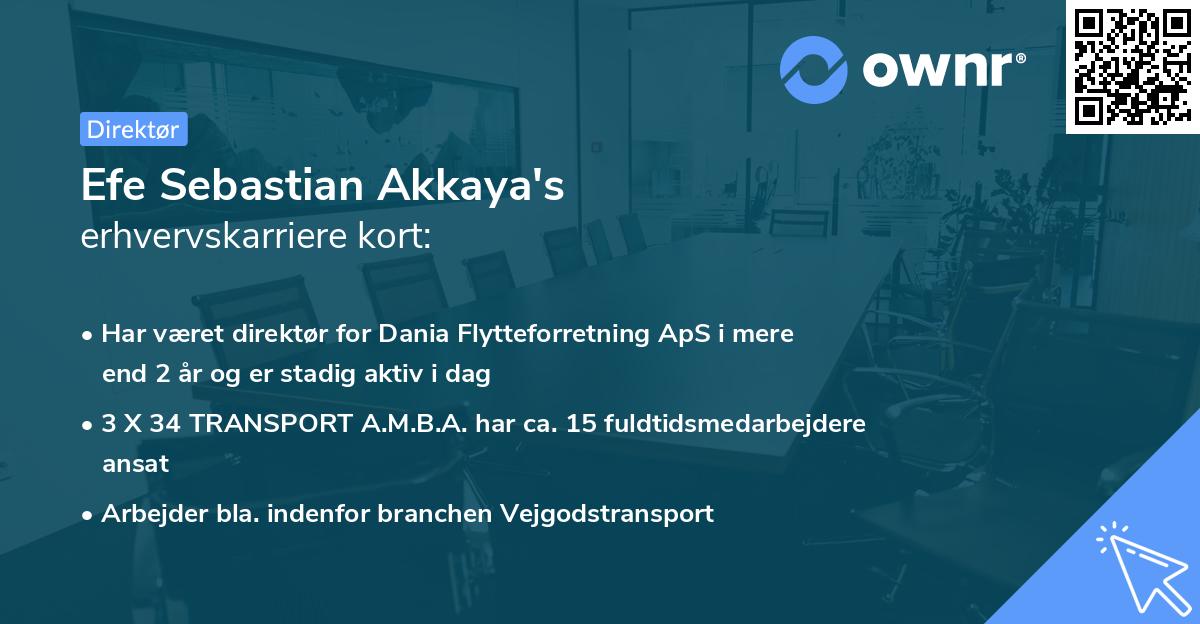 Efe Sebastian Akkaya's erhvervskarriere kort