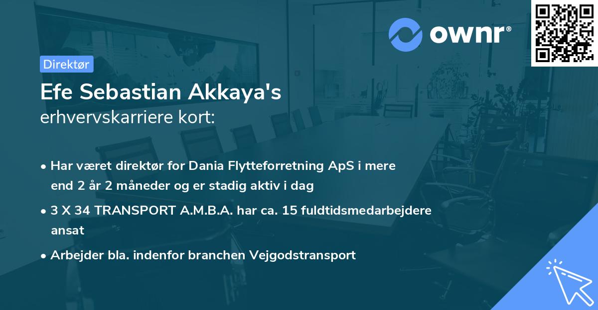 Efe Sebastian Akkaya's erhvervskarriere kort