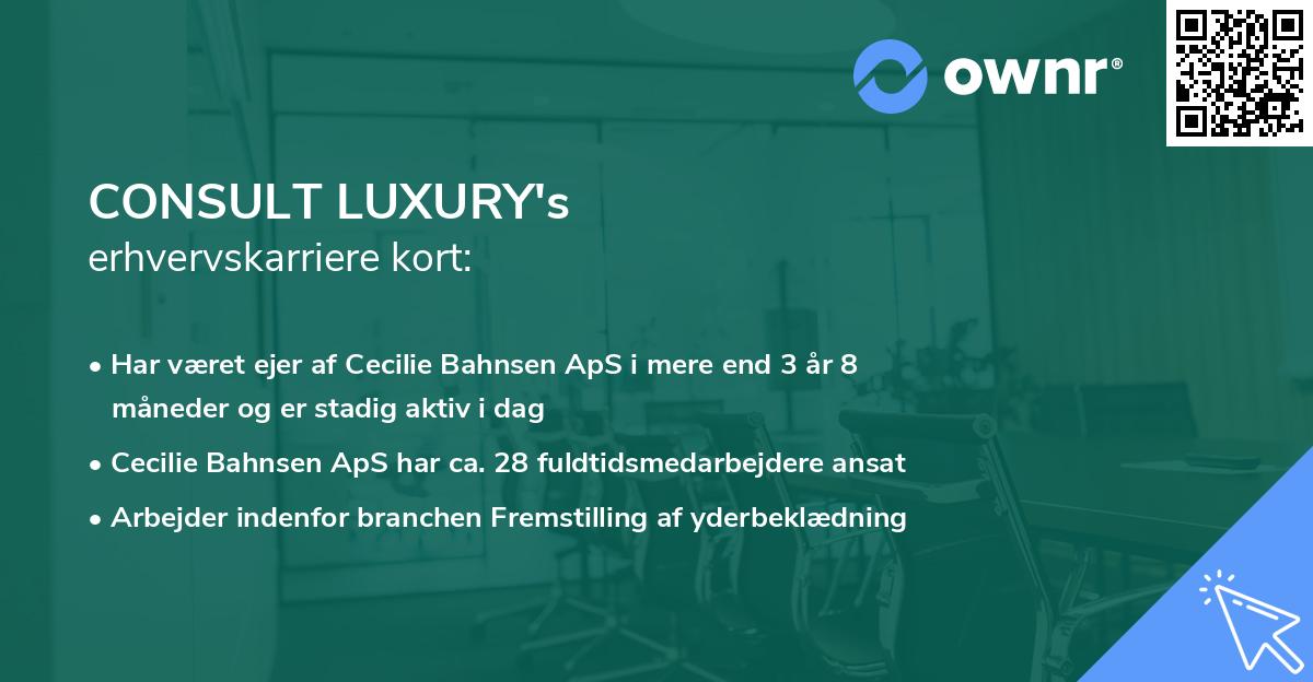 CONSULT LUXURY's erhvervskarriere kort