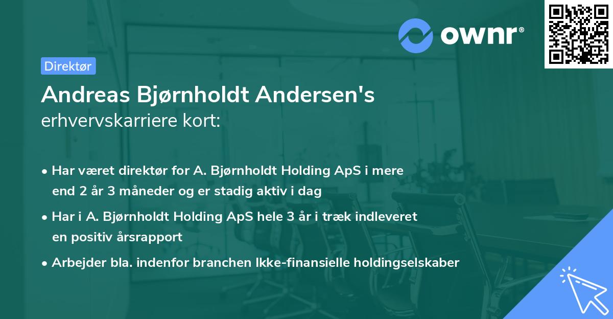 Andreas Bjørnholdt Andersen's erhvervskarriere kort