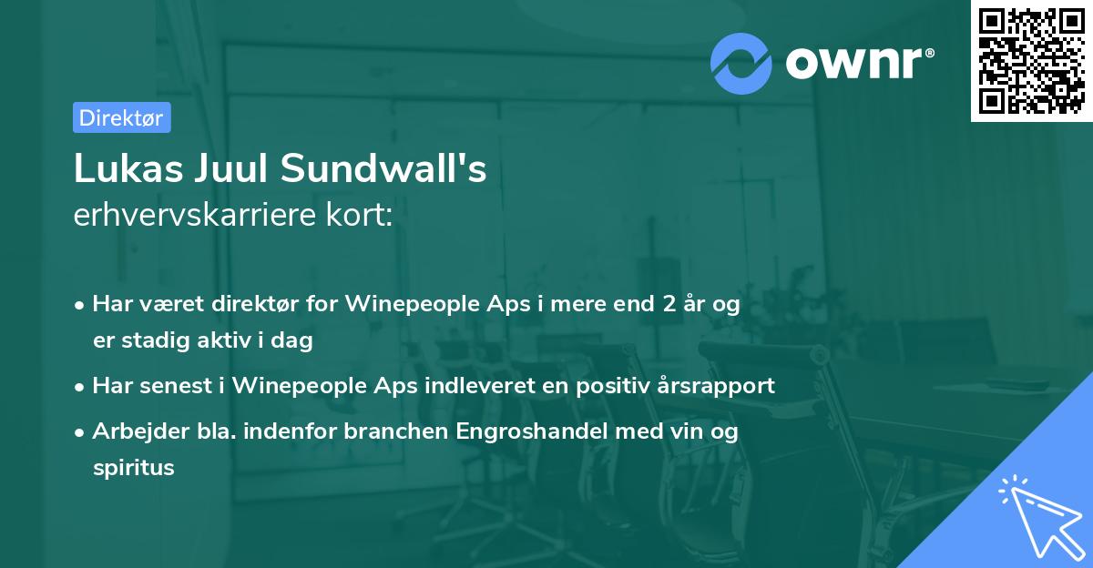 Lukas Juul Sundwall's erhvervskarriere kort
