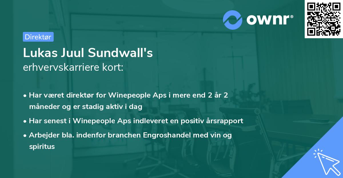 Lukas Juul Sundwall's erhvervskarriere kort
