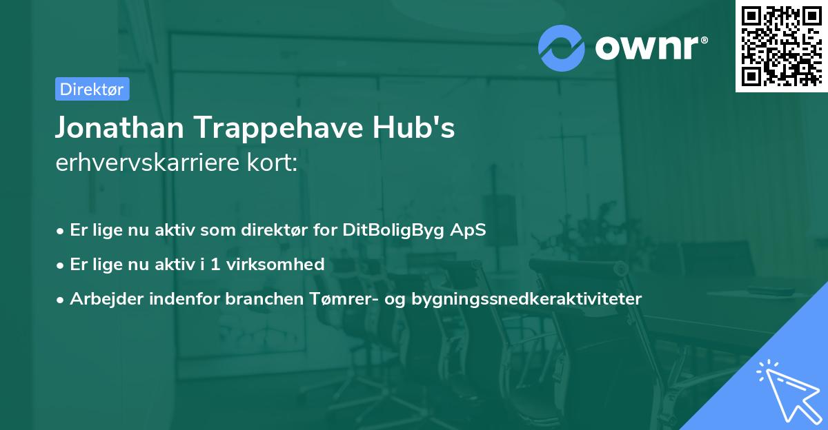 Jonathan Trappehave Hub's erhvervskarriere kort