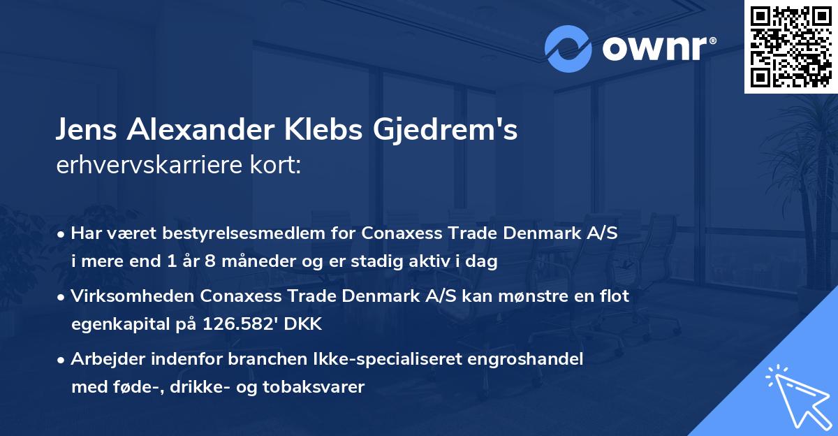 Jens Alexander Klebs Gjedrem's erhvervskarriere kort
