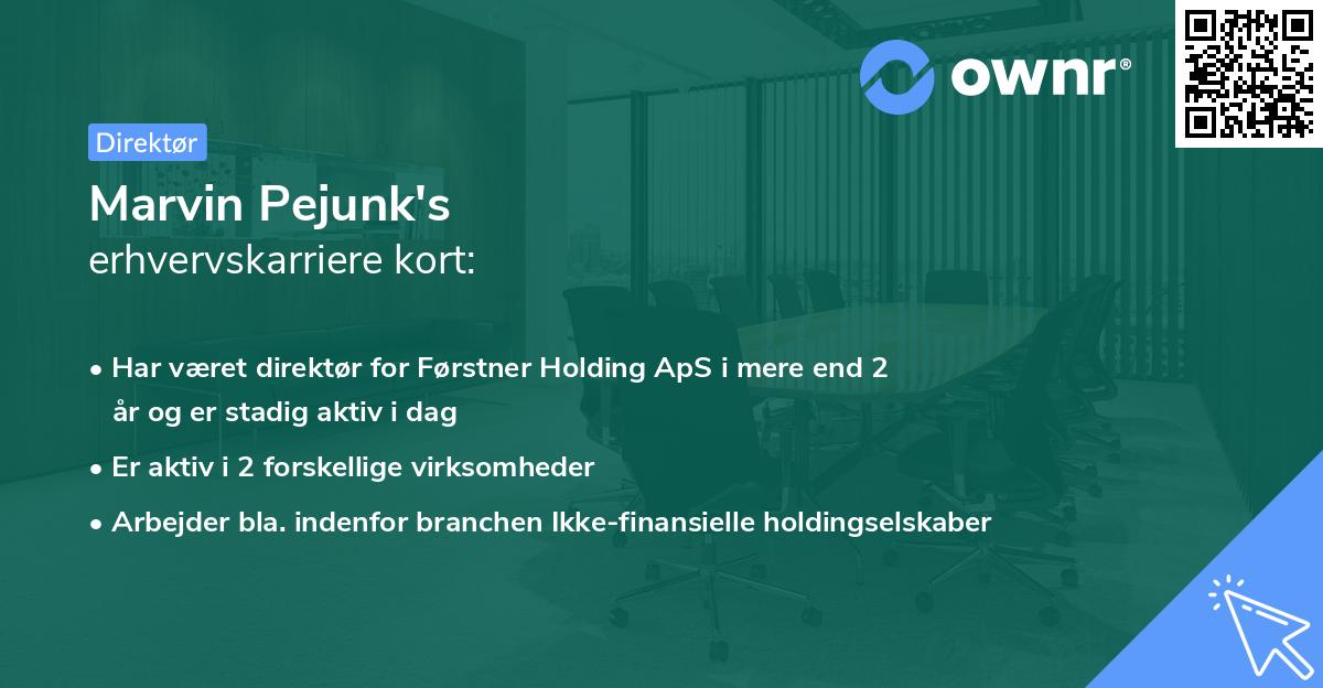Marvin Pejunk's erhvervskarriere kort