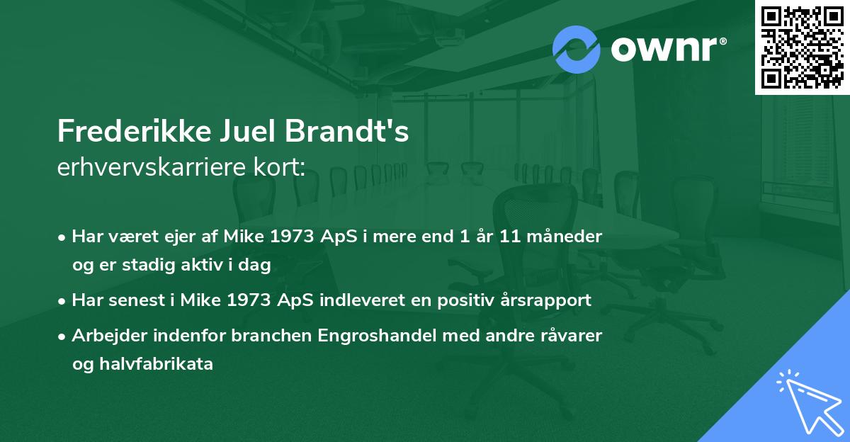 Frederikke Juel Brandt's erhvervskarriere kort