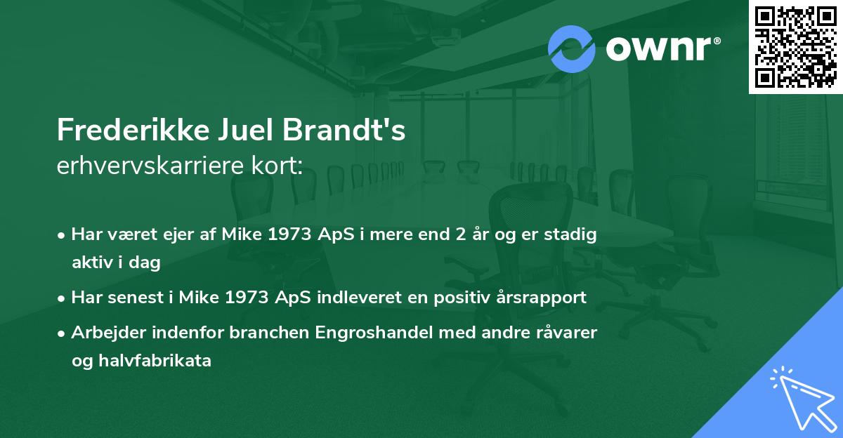 Frederikke Juel Brandt's erhvervskarriere kort