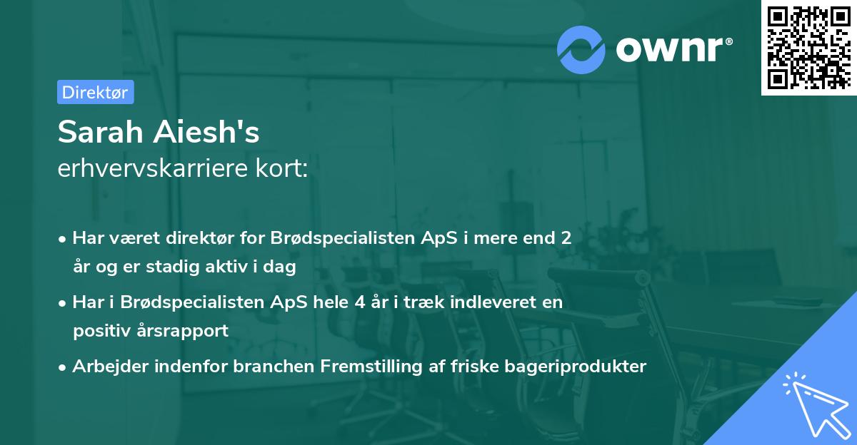 Sarah Aiesh's erhvervskarriere kort